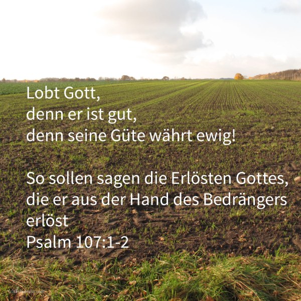 Preiset Jehova, denn er ist gut, denn seine Güte währt ewiglich! So sollen sagen die Erlösten Jehovas, die er aus der Hand des Bedrängers erlöst ( Ps 107:1-2 )