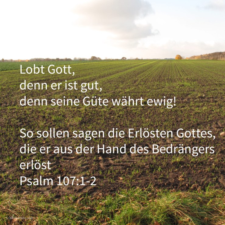 Preiset Jehova, denn er ist gut, denn seine Güte währt ewiglich! So sollen sagen die Erlösten Jehovas, die er aus der Hand des Bedrängers erlöst ( Ps 107:1-2 )