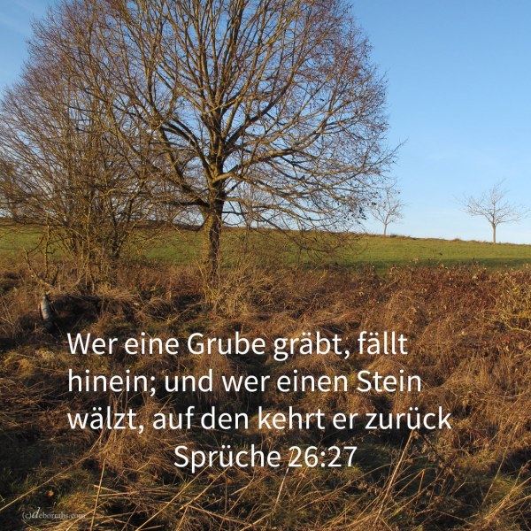 Wer eine Grube gräbt, fällt hinein; und wer einen Stein wälzt, auf den kehrt er zurück ( Sprüche 26,27 )