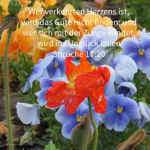 Wer verkehrten Herzens ist, wird das Gute nicht finden; und wer sich mit seiner Zunge windet, wird ins Unglück fallen ( Spr 17,20 )