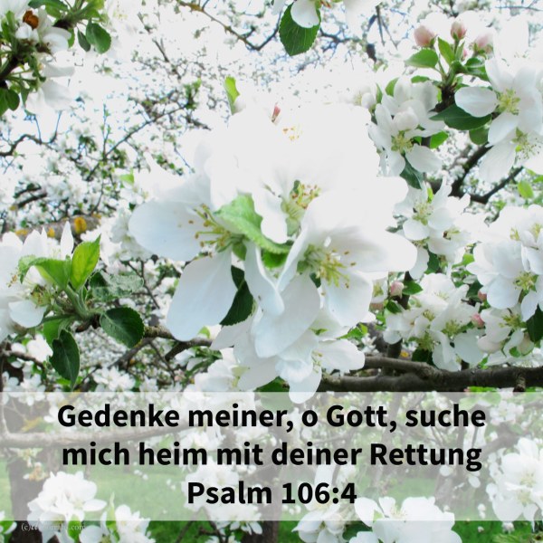Gedenke meiner, Jehova, mit der Gunst gegen dein Volk; suche mich heim mit deiner Rettung ( Psalm 106,4 )