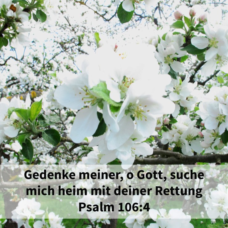 Gedenke meiner, Jehova, mit der Gunst gegen dein Volk; suche mich heim mit deiner Rettung ( Psalm 106,4 )