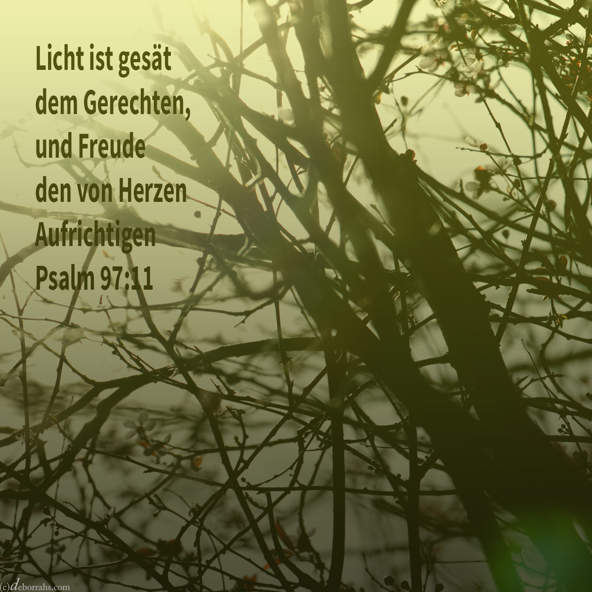  Licht ist gesät dem Gerechten, und Freude dem von Herzen Aufrichtigen ( Psalm 94,11 ) 