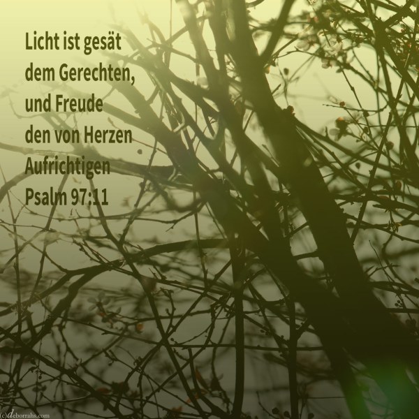 Licht ist gesät dem Gerechten, und Freude dem von Herzen Aufrichtigen ( Psalm 94,11 )