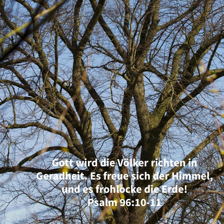 Jehova wird die Völker richten in Geradheit. Es freue sich der Himmel, und es frohlocke die Erde! ( Psalm 96,10-11 )
