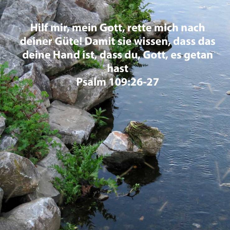 Hilf mir, Jehova, mein Gott! rette mich nach deiner Güte! Damit sie wissen, dass dies deine Hand ist, dass du, Jehova, es getan hast ( Psalm 109:26-27 )