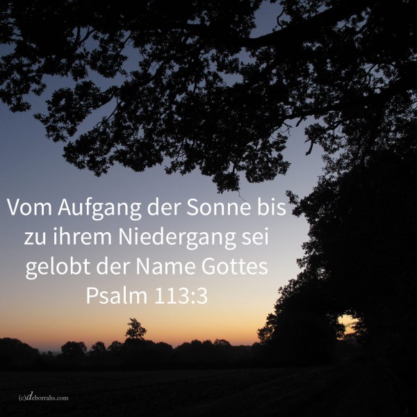 Vom Aufgang der Sonne bis zu ihrem Niedergang sei gelobt der Name Jehovas! (Ps 113,3 )
