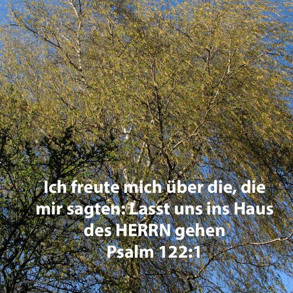 Ich freute mich über die, so mir sagten: Lasst uns ins Haus des Herrn gehen! ( Psalm 122,1 )