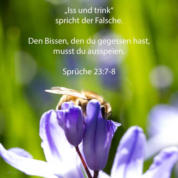 Denn wie er es abmißt in seiner Seele, so ist er. "Iss und trink!", spricht er zu dir, aber sein Herz ist nicht mit dir. Deinen Bissen, den du gegessen hast, musst du ausspeien, und deine freundlichen Worte wirst du verlieren ( Sprüche 23:7-8 )