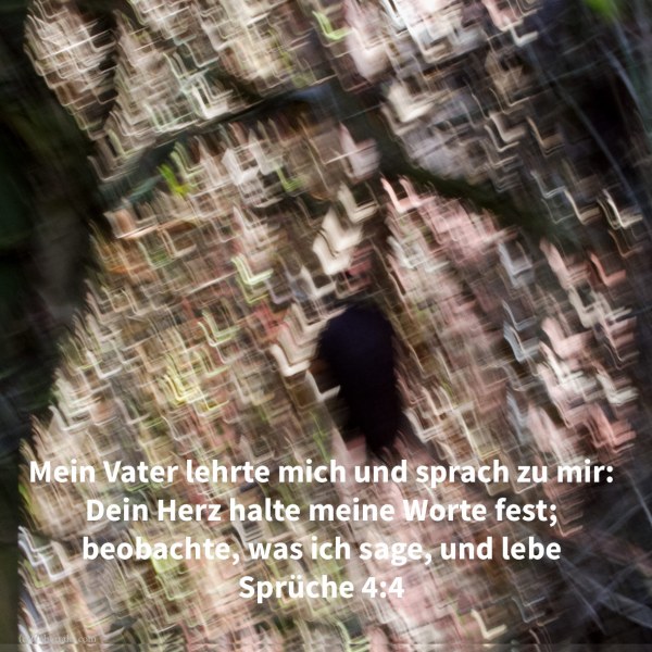 Mein Vater lehrte mich und sprach zu mir: Dein Herz halte meine Worte fest; beobahte meine Gebote und lebe ( Sprüche 4,4)