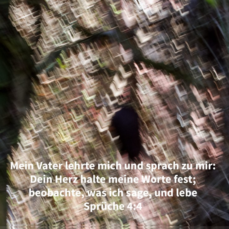 Mein Vater lehrte mich und sprach zu mir: Dein Herz halte meine Worte fest; beobahte meine Gebote und lebe ( Sprüche 4,4)