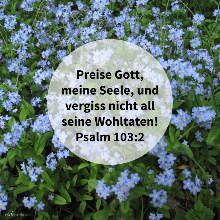 Preise Gott, meine Seele, und vergiss nicht alle seine Wohltaten! ( Psalm 103,2 )