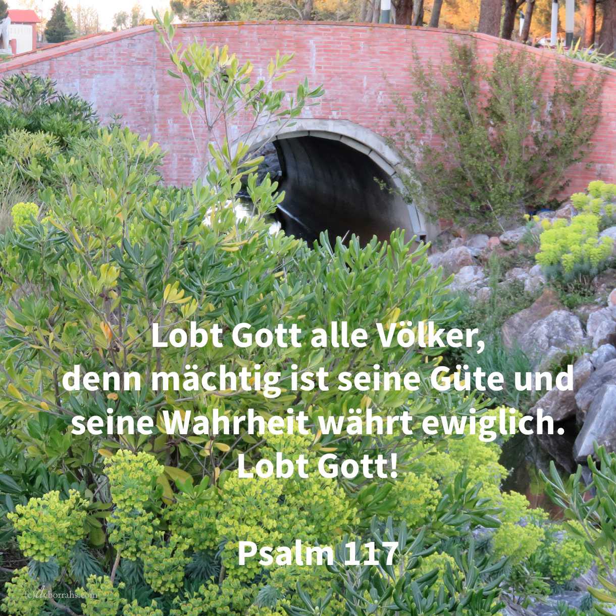  Lobet Jehova, alle Nationen! Rü+hmet ihn, alle Völker! Denn mächtig über uns ist seine Güte; und die Wahrheit Jehovas währt ewiglich. Lobet Jehova! ( Psalm 117 ) 