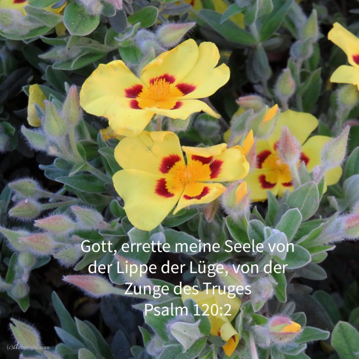 Jehova, errette meine Seele von der Lippe der Lüge, von der Zunge des Truges! ( Ps 120,2 )