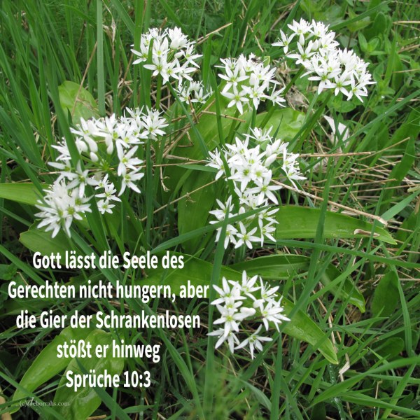 Jehova lässt die Seele des Gerechten nicht hungern, aber die Gier der Gesetzlosen stößt er hinweg ( Sprüche 10,3 )