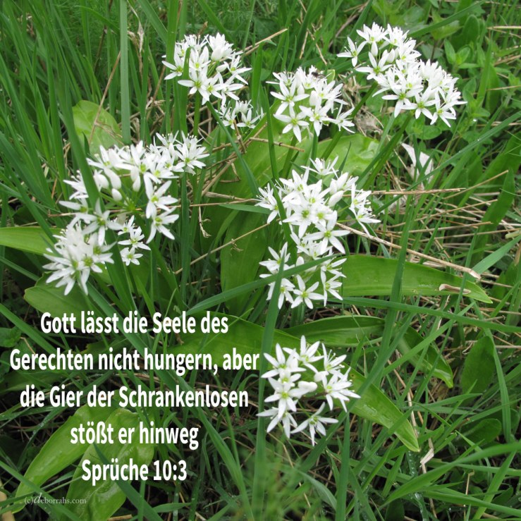 Jehova lässt die Seele des Gerechten nicht hungern, aber die Gier der Gesetzlosen stößt er hinweg ( Sprüche 10,3 )