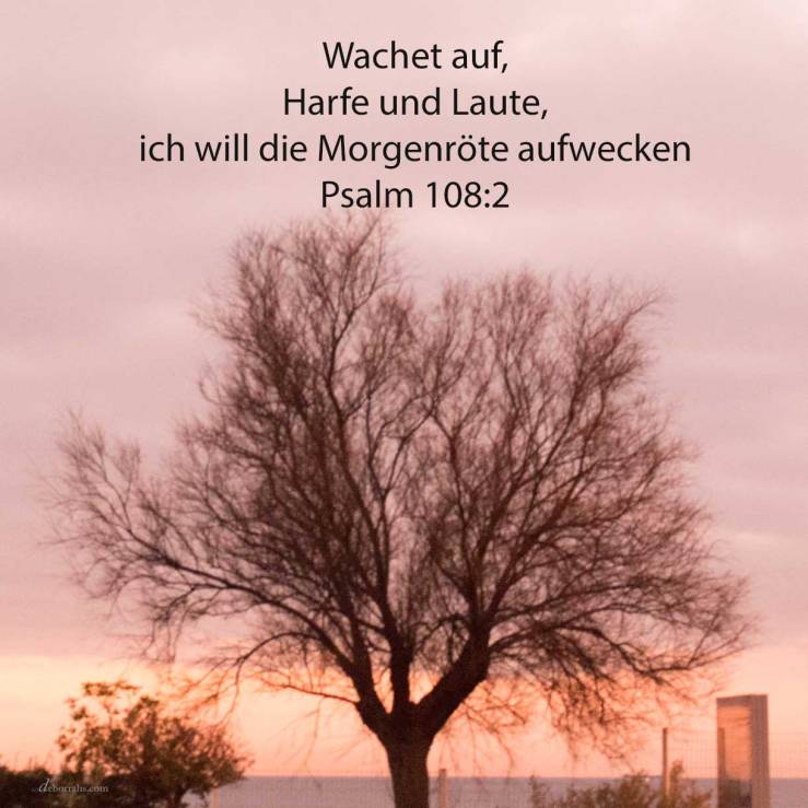 Wachet auf, Harfe und Laute! Ich will aufwecken die Morgenröte ( Psalm 108,2 )