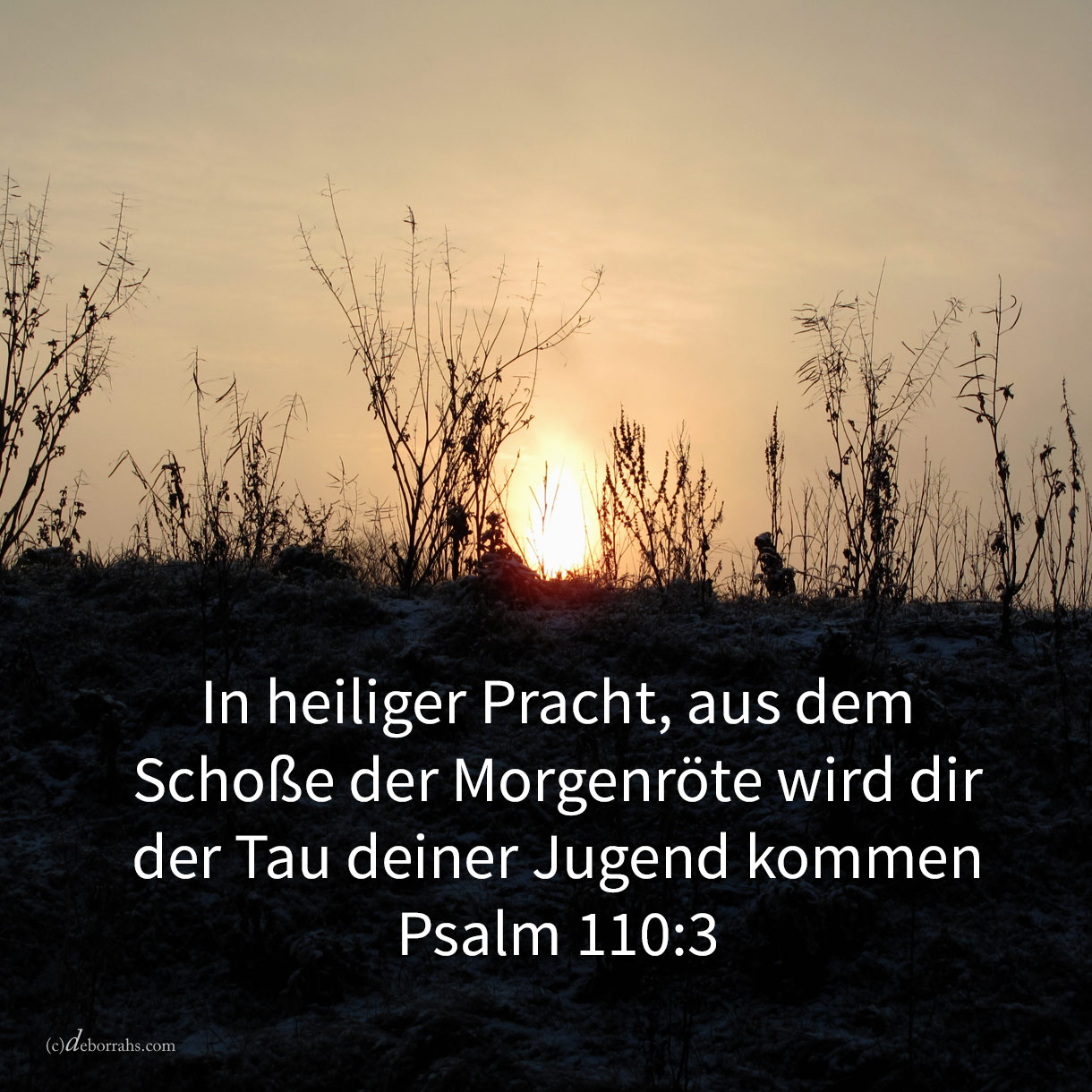 In heiliger Pracht, aus dem Schoße der Morgenröte wird dir der tau deiner Jugend kommen ( Ps 110,3 ) 