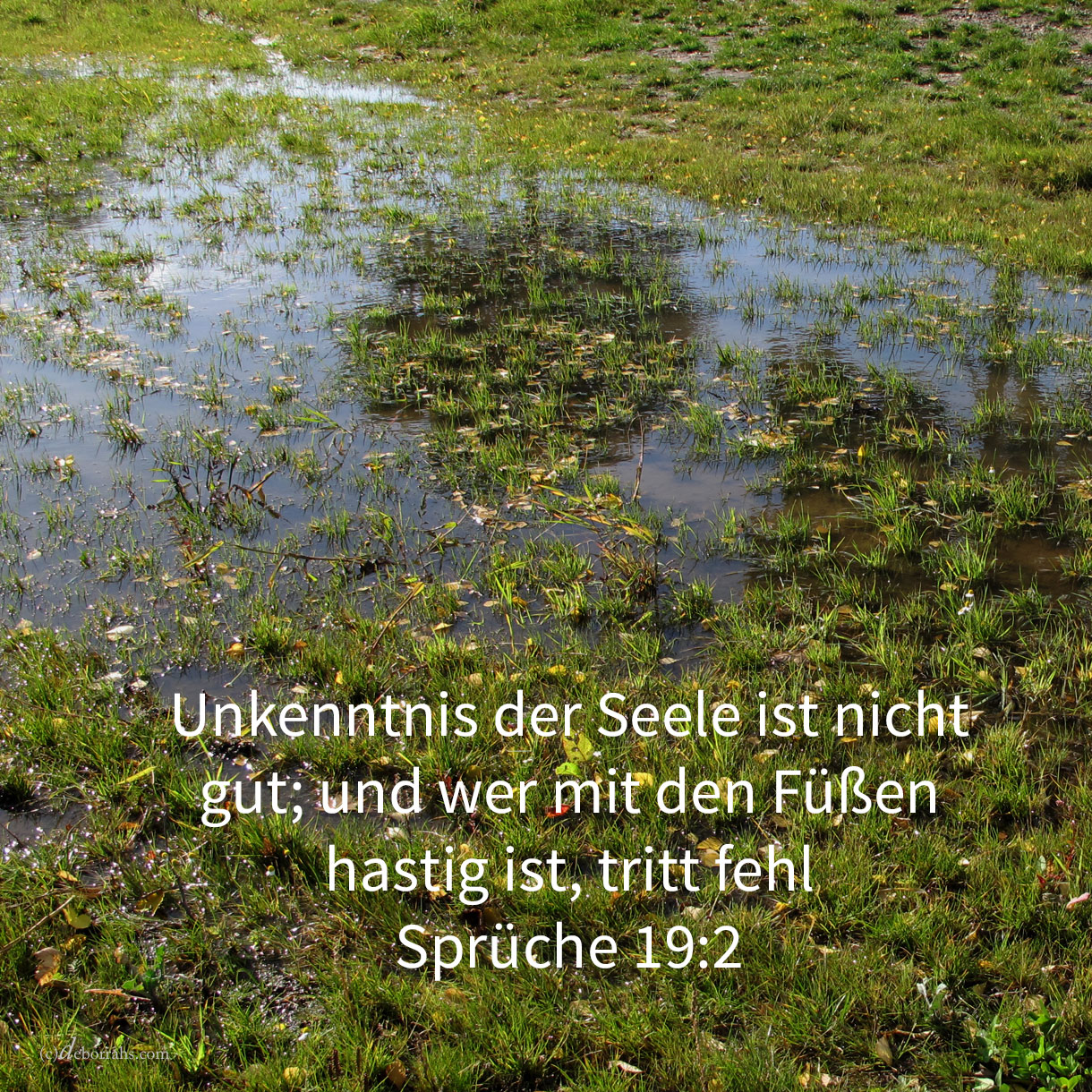  Unkenntnis der Seele ist nicht gut; und wer mit den Füßen hastig ist, tritt fehl ( Sprüche 19,2 ) 