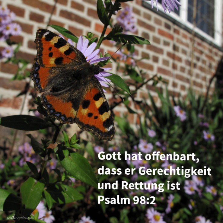 Johova hat kundgetan seine Rettung, vor den Augen der Nationen geoffenbart seine Gerechtigkeit ( Psalm 98,2 )