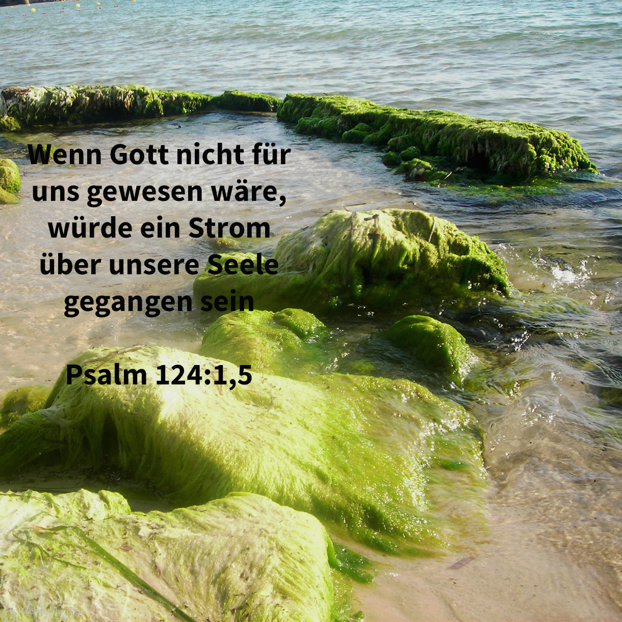 Wenn nicht Jehova für uns gewesen wäre, dann würden die Wasser uns überflutet haben, würde ein Strom über unsere Seele gegangen sein ( Psalm 124,1;4 ) 