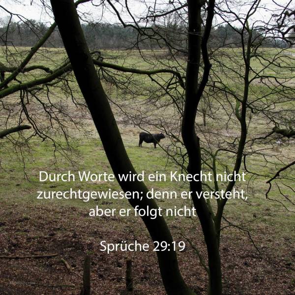 Durch Worte wird ein Knecht nicht zurechtgewiesen, denn er versteht, aber er folgt nicht ( Sprüche 29,19 )