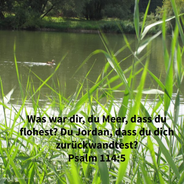 Was war dir, du Meer, dass du flohest? Du Jordan, dass du dich zurückwandtest? ( Psalm 114,5 )