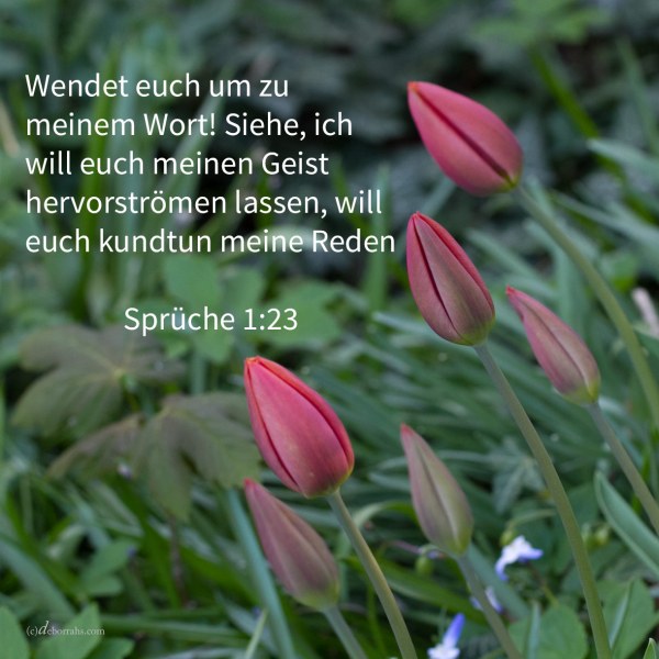 Wendet euch zu meiner Zucht! Siehe, ich will euch meinen Geist hervorströmen lassen, will euch kundtun meine Reden ( Sprüche 1,23 )