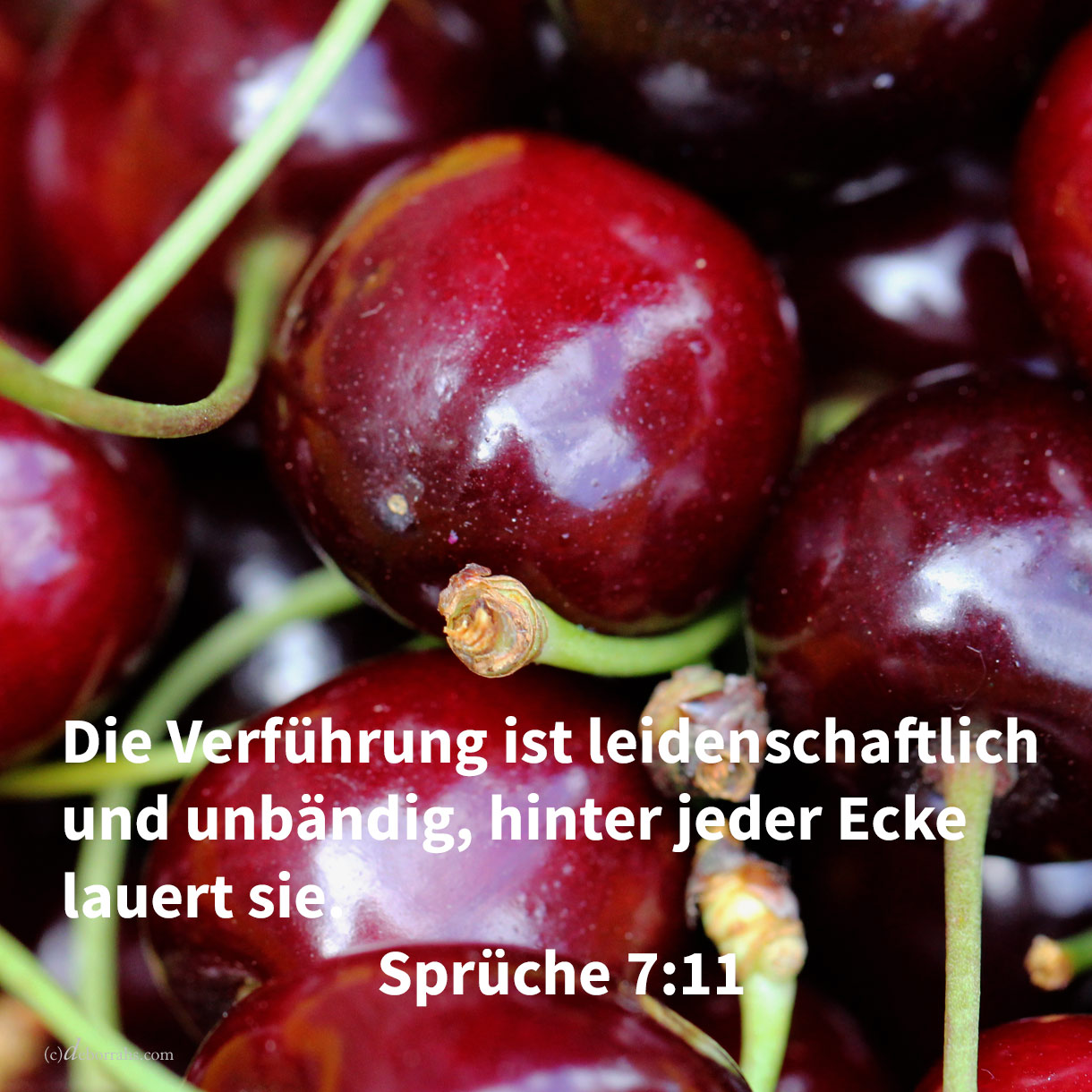  Die Verführung ist leidenschafltich und unbändig, ihre Füße bleiben nicht in ihrem Hause; bald ist sie draußen, bald auf den Straßen, und neben jeder Ecke lauert sie ( Spr 7:11 ) 