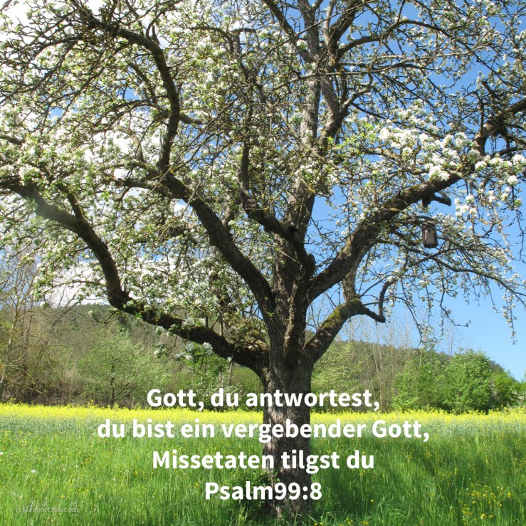Jehova, unser Gott, du hast ihnen geantwortet! ein vergebender Gott warst du ihnen, und ein Rächer ihrer Taten ( Psalm 99,8 )