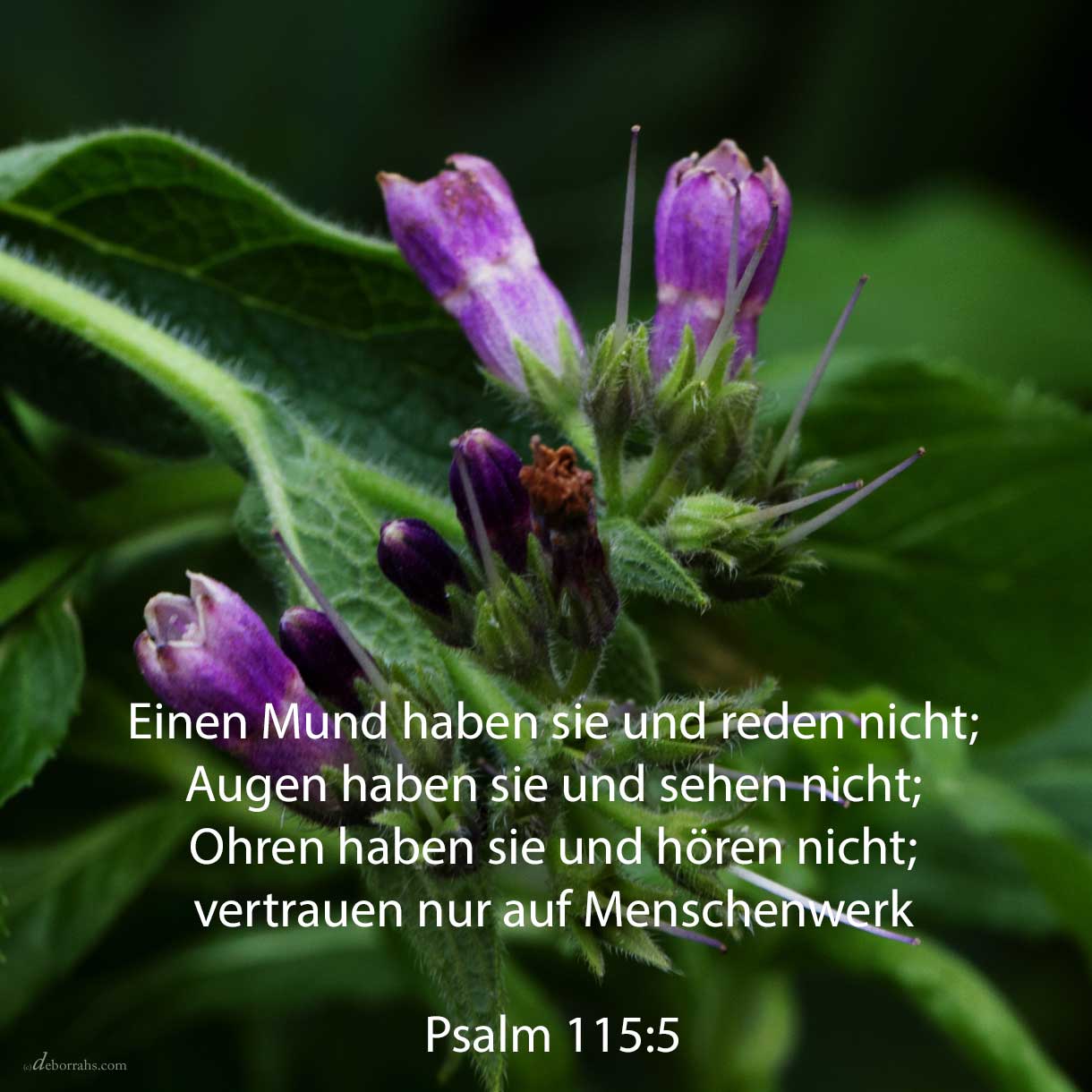  Einen Mund haben sie und reden nicht; Augen haben sie uns sehen nicht; Ohren haben sie und hören nicht; eine Nase haben sie und riechen nicht. Sie haben Hände und tasten nicht, Füße und sie gehen nicht; keinen Laut geben sie mit ihrer Kehle ( Psalm 115,5-7 ) 