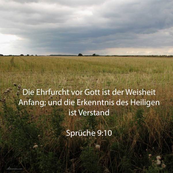 Die Furcht Jehovas ist der Weisheit Anfang; und die Erkenntnis des Heiligen ist Verstand ( Sprüche 9,10 )