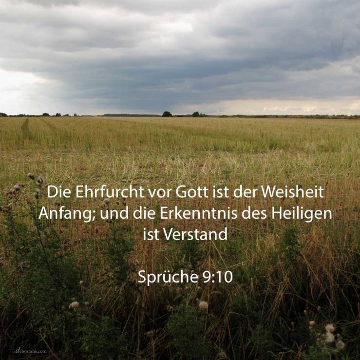 Die Furcht Jehovas ist der Weisheit Anfang; und die Erkenntnis des Heiligen ist Verstand ( Sprüche 9,10 )