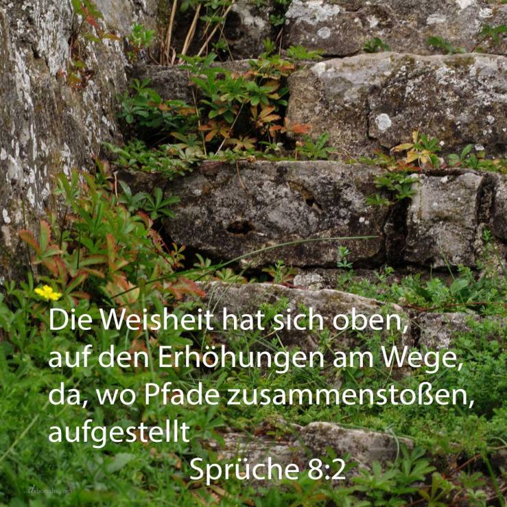 Die Weisheit hat sich oben auf den Erhöhrungen am Eweg, da wo Pfade zusammenstoßen, aufgestellt ( Sprüche 8,2 )