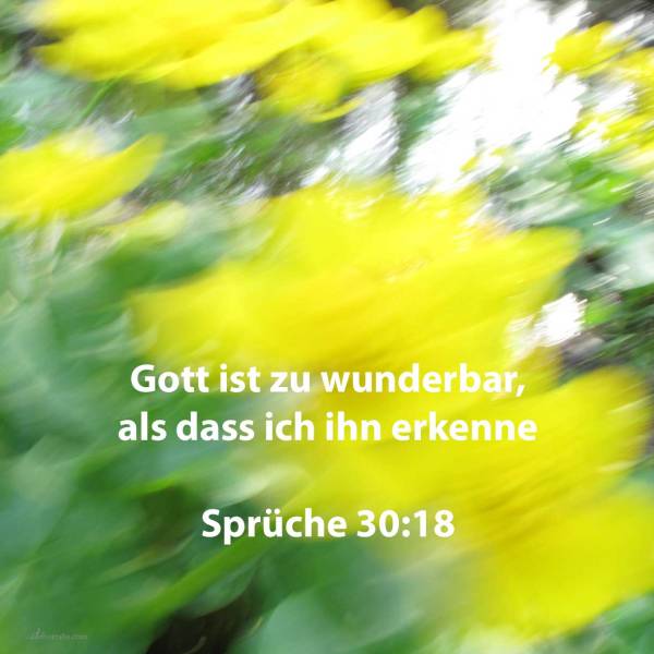 Drei sind es, die zu wunderbar für mich sind, und vier, die ich nicht erkenne ( Sprüche 30,18 )