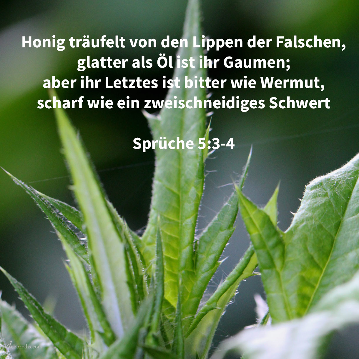 Denn Honigseim träufeln die Lippen der Fremden, und glatter als Öl ist ihr Gaumen; aber ihr Letztes ist bitter wie Wermut, scharf wie ein zweischneidiges Schwert ( Sprüche 5,3-4 ) 