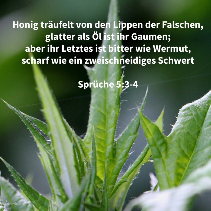 Denn Honigseim träufeln die Lippen der Fremden, und glatter als Öl ist ihr Gaumen; aber ihr Letztes ist bitter wie Wermut, scharf wie ein zweischneidiges Schwert ( Sprüche 5,3-4 )