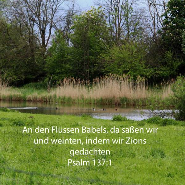 An den Flüssen Babels, da saßen wir und weinten, indem wir Zions gedachten ( Psalm 137,1 )