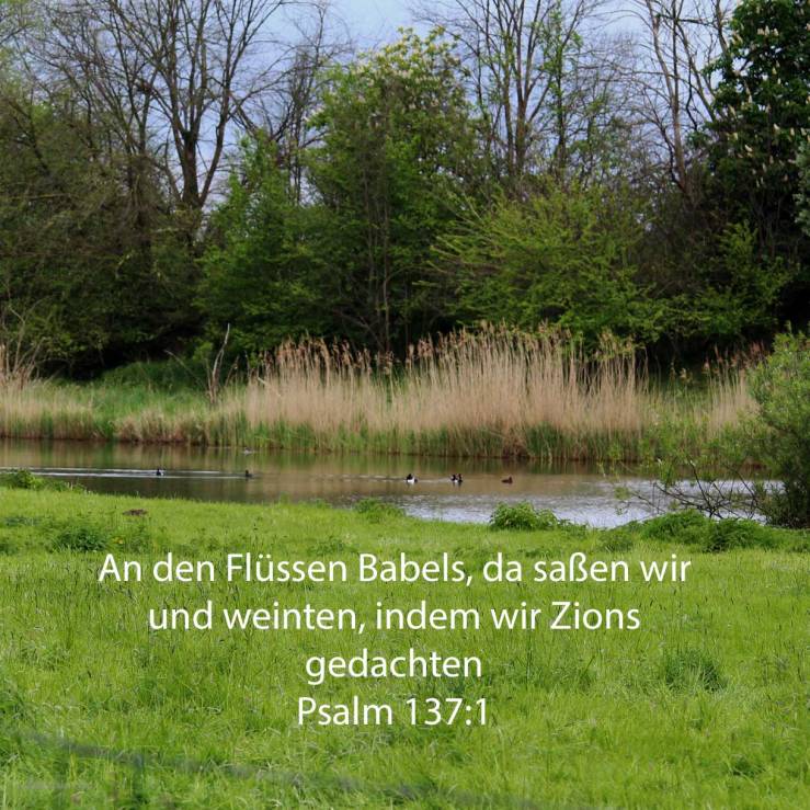 An den Flüssen Babels, da saßen wir und weinten, indem wir Zions gedachten ( Psalm 137,1 )