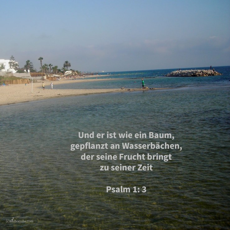 Und er ist wie ein Baum, gepflanzt an Wasserbächen, der seine Frucht bringt zu seiner Zeit, und dessen Blatt nicht verwelkt ( Psalm 1,3 )