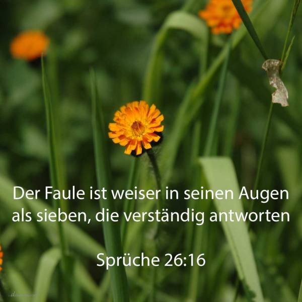 Der Faule ist weiser in seinen Augen als sieben, die verständig antworten ( Sprüche 26:16 )