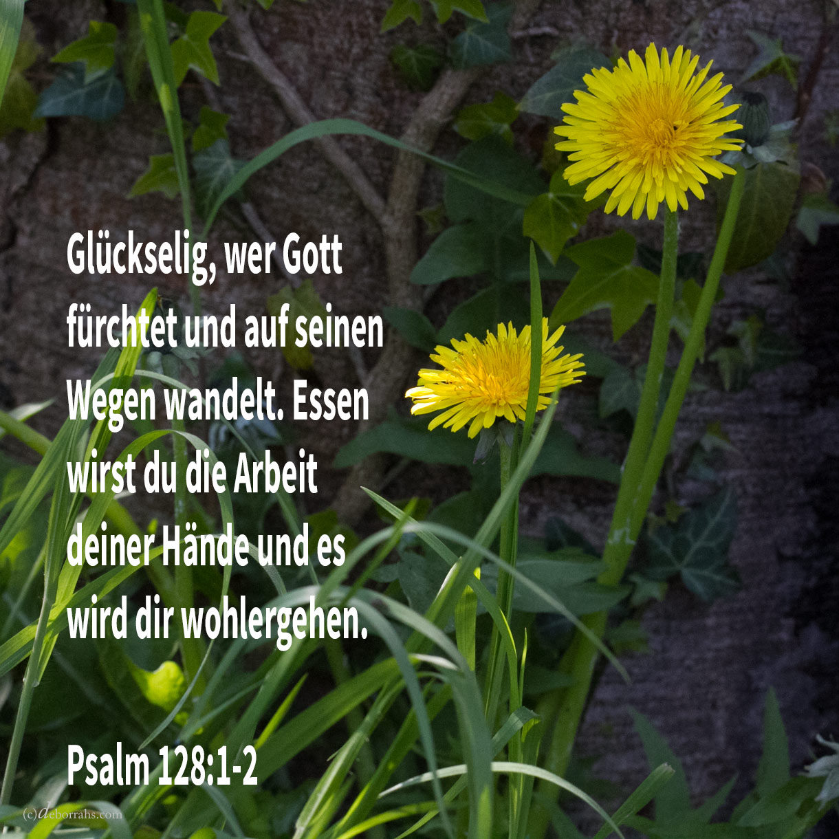 Glückselig ein jeder, der Jehova fürchtet, der da wandelt in seinen Wegen! Denn essen wirst du die Arbeit deiner Hände; glückselig wirst du sein, und es wird dir wohlgehen ( Psalm 128:1-2 ) 