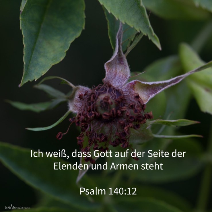 Ich weiß, dass Jehova ausführen wird die Rechtssache des Elenden, das Recht der Armen ( Psalm 140,12 )