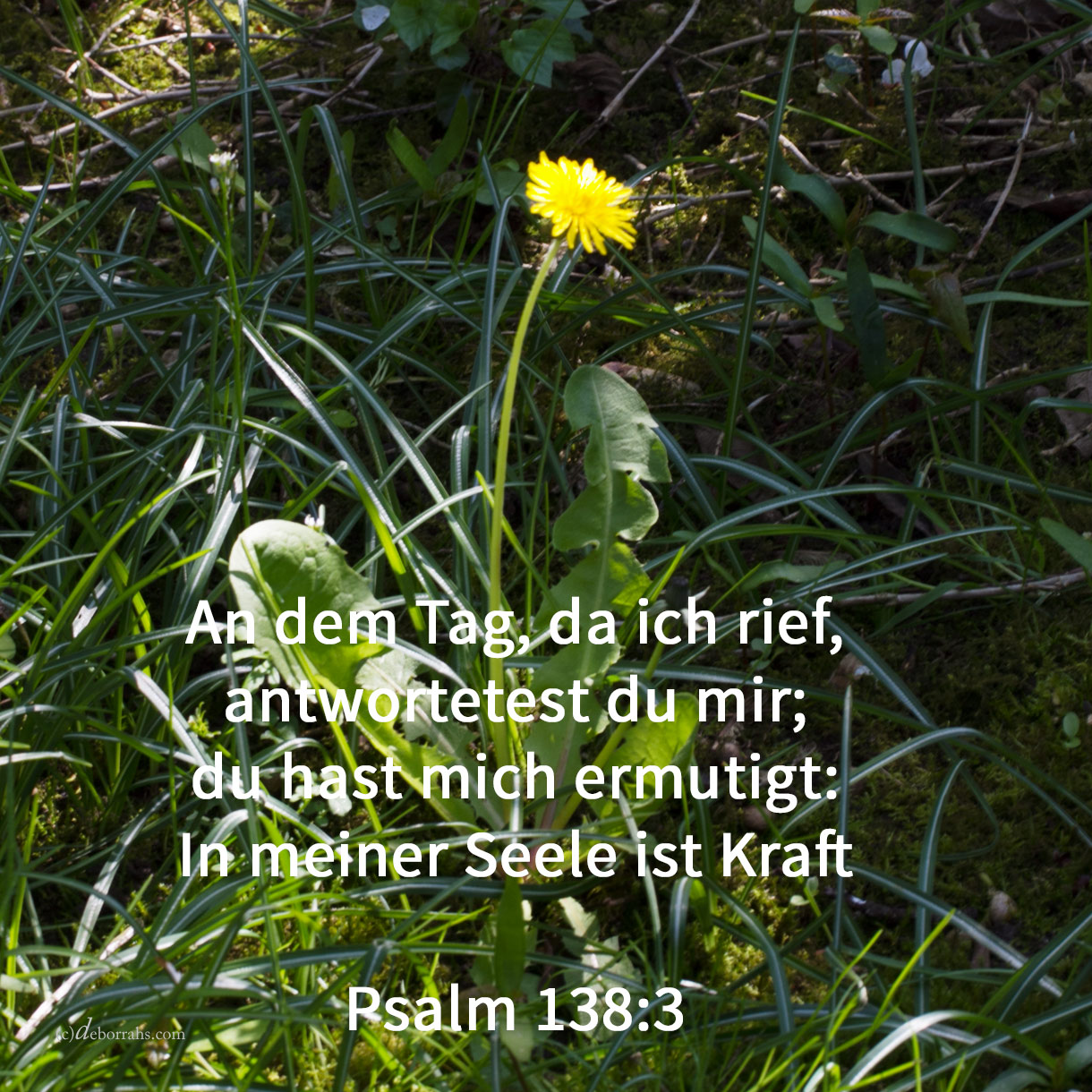 Wenn du, Jehova, merkst auf die Ungerechtigkeiten: Herr, wer wird bestehen? doch bei dir ist Vergebung, damit du gefürchtet werdest ( Psalm 130,3-4 )