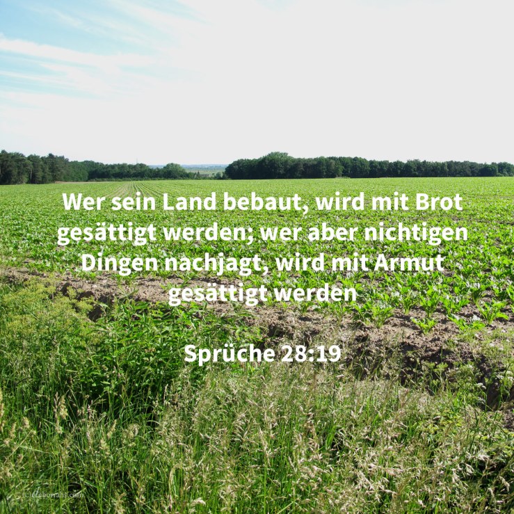 Wer sein Land bebaut, wird mit Brot gesättigt werden; wer aber nichtigen Dingen nachjagt, wird mit Armut gesättigt werden ( Sprüche 28,19 )