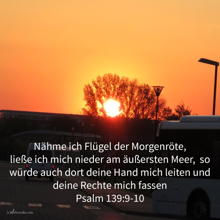 Nähme ich Flügel der Morgenröte, ließe ich mich nieder am äußersten Ende des Meeres, auch daselbst würde deine Hand mich leiten, und deine Rechte mich fassen ( Psalm 139,9-10 )
