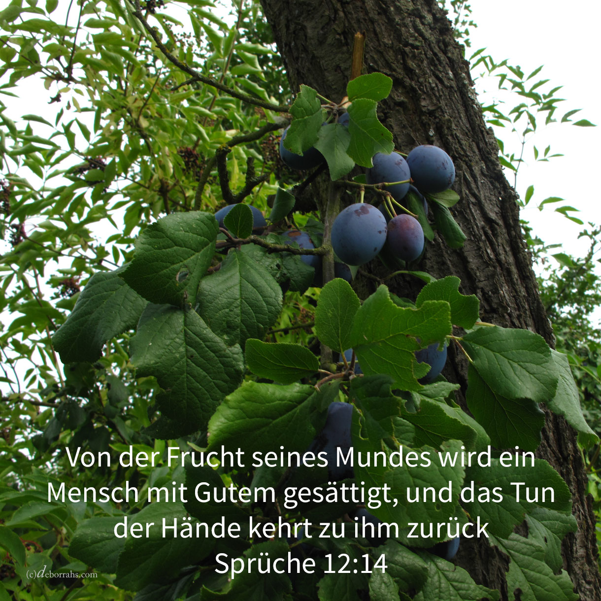 Von der Frucht seines Mundes wird ein Mann mit Gutem gesättigt, und das Tun der Hände eines Menschen kehrt zu ihm zurück ( Sprüche 12,14 ) 