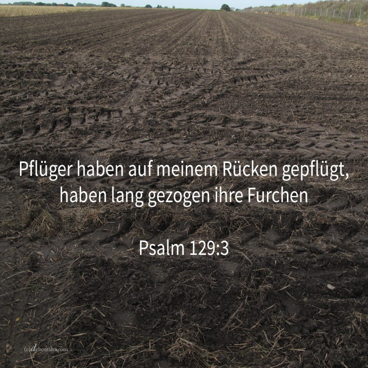 Pflüger haben auf meinem Rücken gefplügt, haben lang gezogen ihre Furchen ( Psalm 129,3 )