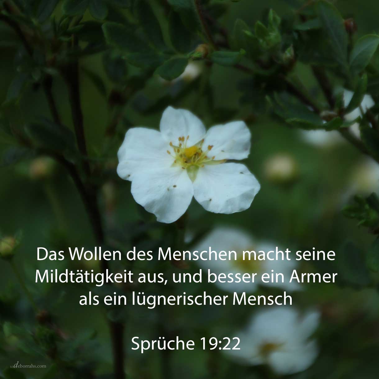 Die Willigkeit eines Menschen macht seine Mildtätigkeit aus, und besser ein Armer als ein lügnerischer Mann ( Sprüche 19,22 ) 