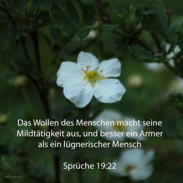 Die Willigkeit eines Menschen macht seine Mildtätigkeit aus, und besser ein Armer als ein lügnerischer Mann ( Sprüche 19,22 )